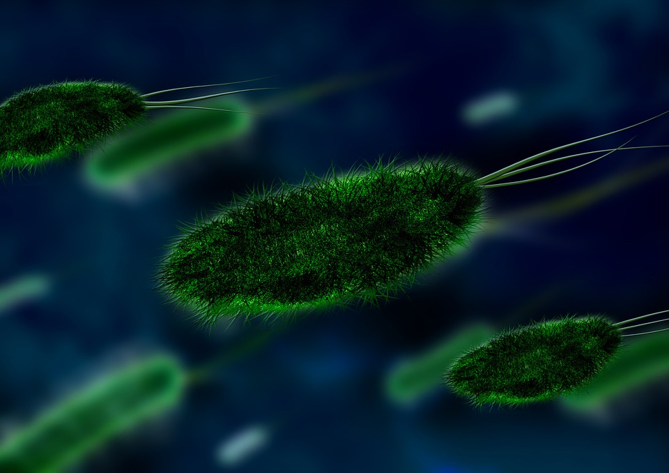 las bacterias más letales